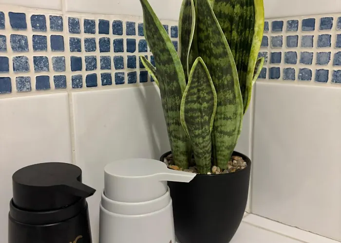 The Economy Center In Shared Privat bolig