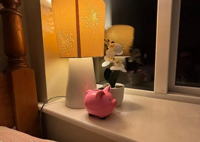 Séjour chez l'habitant The Economy Center In Shared *